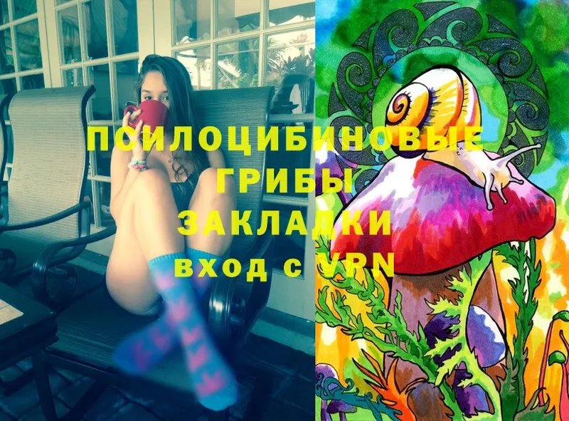 закладки  omg ONION  Галлюциногенные грибы GOLDEN TEACHER  Абинск 